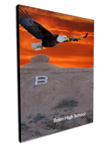Cover Preview